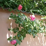 Siraly Haz Apartament *
